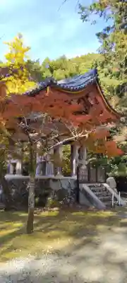 醍醐寺(京都府)