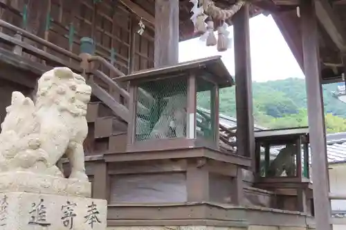 入江神社の狛犬