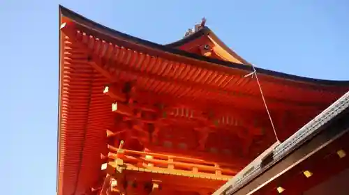 賀茂別雷神社（上賀茂神社）の自然