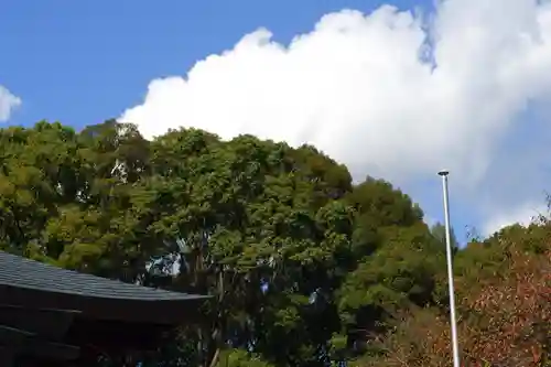 龍田大社(奈良県)