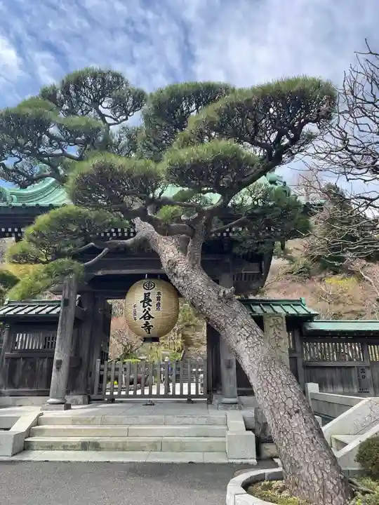 長谷寺の山門・神門