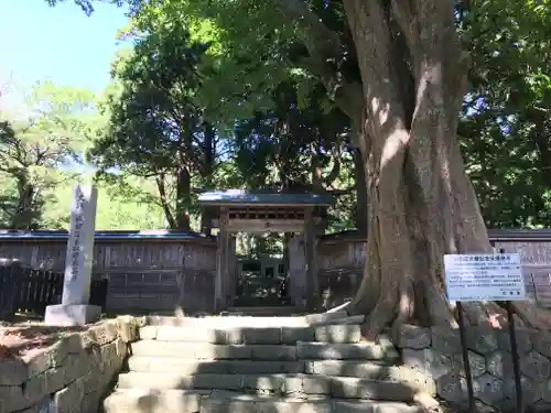 法幢寺のお墓