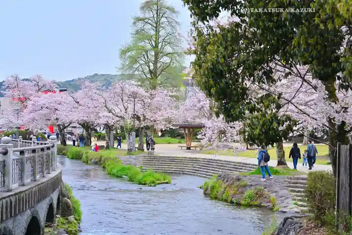 富士山本宮浅間大社(静岡県)