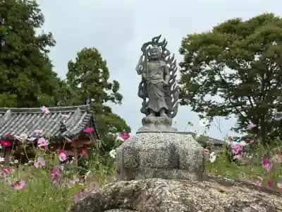 般若寺 ❁コスモス寺❁(奈良県)