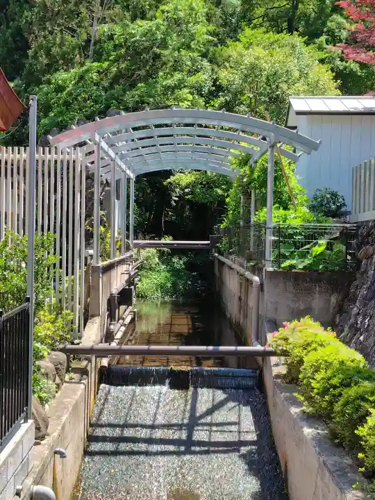 金蛇水神社の{uncategorized: "未分類", other: "その他", undefined: "問題あり", building: "その他建物", grave: "お墓", sacred_gate: "鳥居", guardian: "狛犬", statue: "像", buddha: "仏像", history: "歴史", nature: "自然", garden: "庭園", animal: "動物", pagoda: "塔", temizu: "手水舎", mountain_gate: "山門・神門", sanctuary: "本殿・本堂", subordinate: "末社・摂社", art: "芸術", scenery: "景色", jizo: "地蔵", ema: "絵馬", goshuin: "御朱印", omikuji: "おみくじ", items: "授与品その他", amulet: "お守り", goshuincho: "御朱印帳", eats: "食事", festival: "お祭り", votive_dance: "神楽", shichigosan: "七五三参", wedding: "結婚式", experience: "体験その他", initially: "初詣", around: "周辺", anti_infection: "感染症対策"}