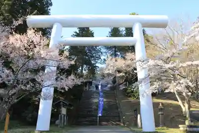 土津神社|こどもと出世の神さまの鳥居