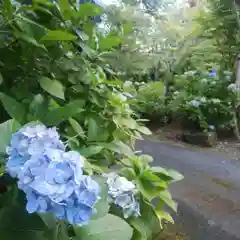 祥雲寺の景色