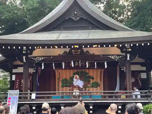 大國魂神社の神楽