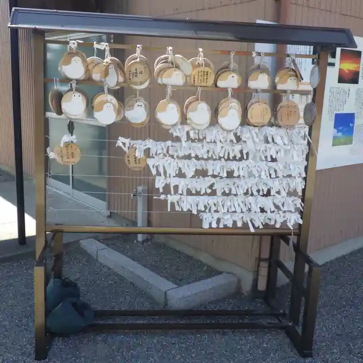 越中護国八幡宮のおみくじ