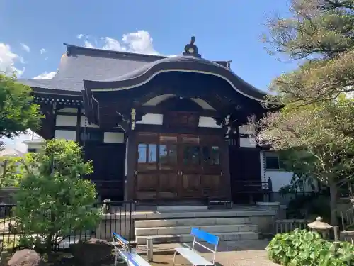 金剛寺の{uncategorized: "未分類", other: "その他", undefined: "問題あり", building: "その他建物", grave: "お墓", sacred_gate: "鳥居", guardian: "狛犬", statue: "像", buddha: "仏像", history: "歴史", nature: "自然", garden: "庭園", animal: "動物", pagoda: "塔", temizu: "手水舎", mountain_gate: "山門・神門", sanctuary: "本殿・本堂", subordinate: "末社・摂社", art: "芸術", scenery: "景色", jizo: "地蔵", ema: "絵馬", goshuin: "御朱印", omikuji: "おみくじ", items: "授与品その他", amulet: "お守り", goshuincho: "御朱印帳", eats: "食事", festival: "お祭り", votive_dance: "神楽", shichigosan: "七五三参", wedding: "結婚式", experience: "体験その他", initially: "初詣", around: "周辺", anti_infection: "感染症対策"}