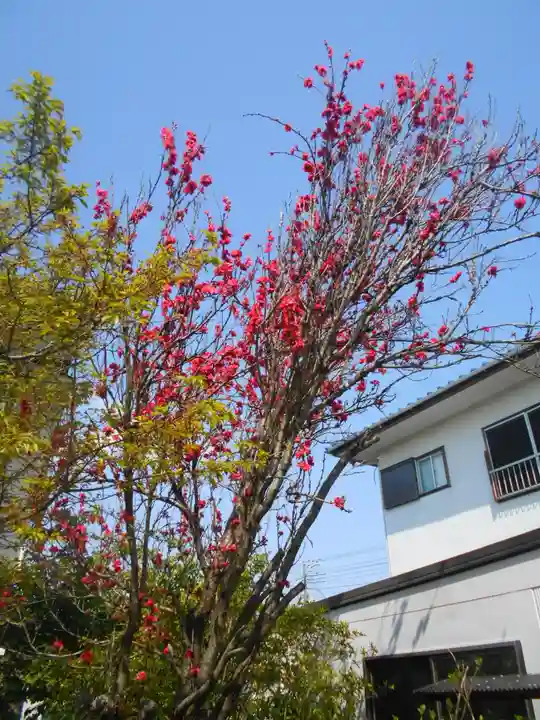 向福寺(神奈川県)