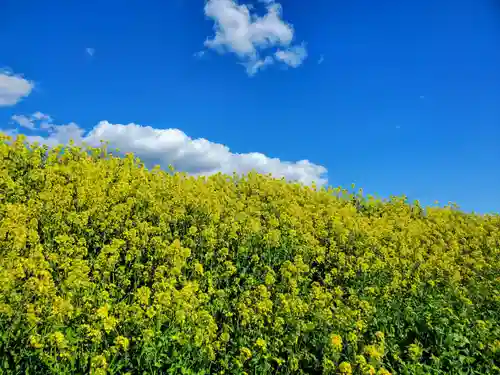 網戸神社(栃木県)