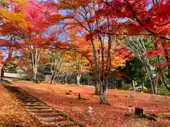 土津神社｜こどもと出世の神さまの自然