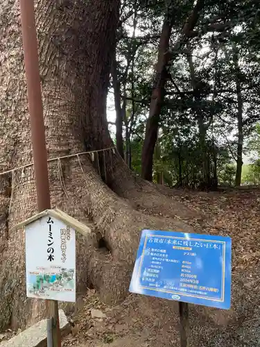 五所八幡宮の自然