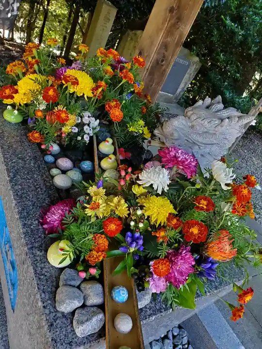 滑川神社 - 仕事と子どもの守り神の手水舎