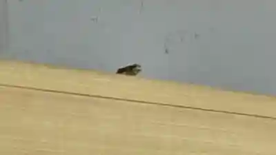 福地山 長現寺(山形県)