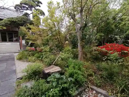 正円寺の庭園