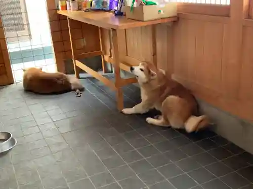 長泉寺(埼玉県)