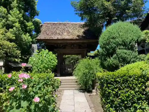 極楽寺（霊鷲山感應院極楽律寺）の山門