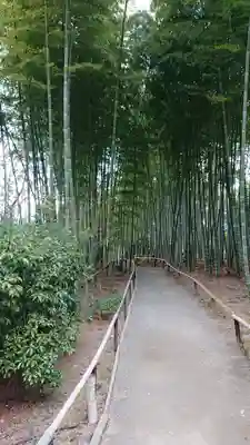 高台寺（高台寿聖禅寺・高臺寺）(京都府)