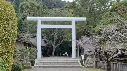 安房神社の鳥居