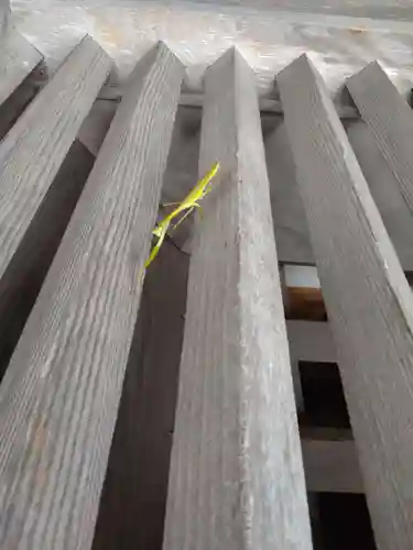 佐太神社(島根県)