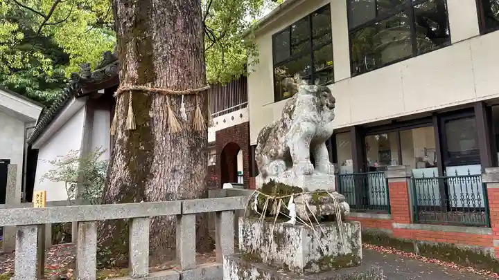 岩屋神社(京都府)