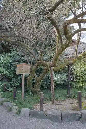 熱田神宮の庭園