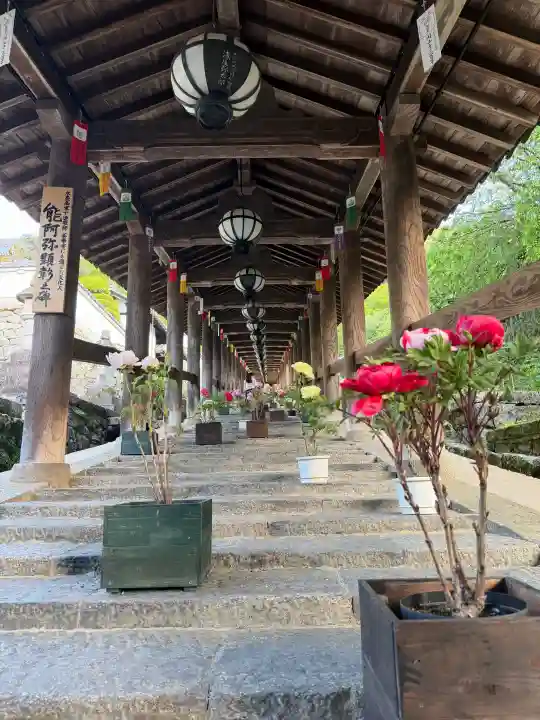 長谷寺の{uncategorized: "未分類", other: "その他", undefined: "問題あり", building: "その他建物", grave: "お墓", sacred_gate: "鳥居", guardian: "狛犬", statue: "像", buddha: "仏像", history: "歴史", nature: "自然", garden: "庭園", animal: "動物", pagoda: "塔", temizu: "手水舎", mountain_gate: "山門・神門", sanctuary: "本殿・本堂", subordinate: "末社・摂社", art: "芸術", scenery: "景色", jizo: "地蔵", ema: "絵馬", goshuin: "御朱印", omikuji: "おみくじ", items: "授与品その他", amulet: "お守り", goshuincho: "御朱印帳", eats: "食事", festival: "お祭り", votive_dance: "神楽", shichigosan: "七五三参", wedding: "結婚式", experience: "体験その他", initially: "初詣", around: "周辺", anti_infection: "感染症対策"}