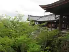 清水寺(京都府)