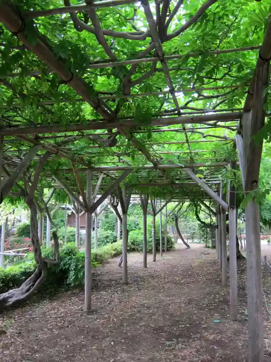 亀戸天神社(東京都)