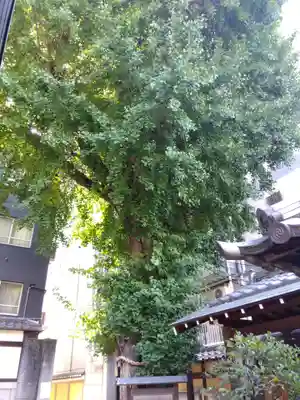 本能寺(京都府)