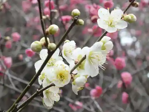 石山寺(滋賀県)