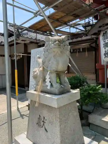 尾浜八幡神社の狛犬