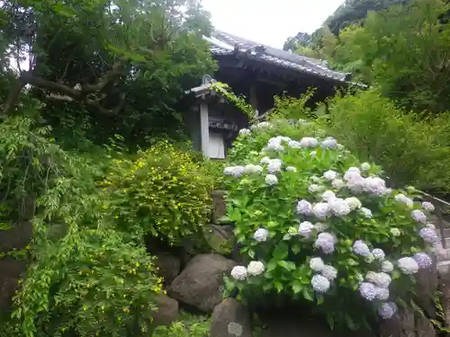 覚園寺の庭園