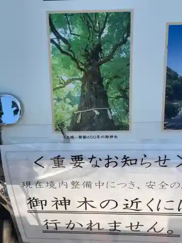 上野東照宮(東京都)