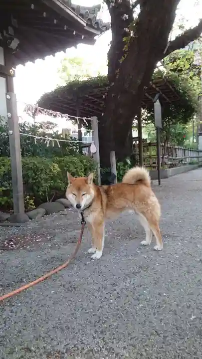 感通寺(東京都)