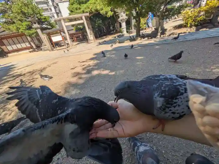 四柱神社(長野県)