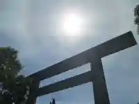 屋久島大社の自然