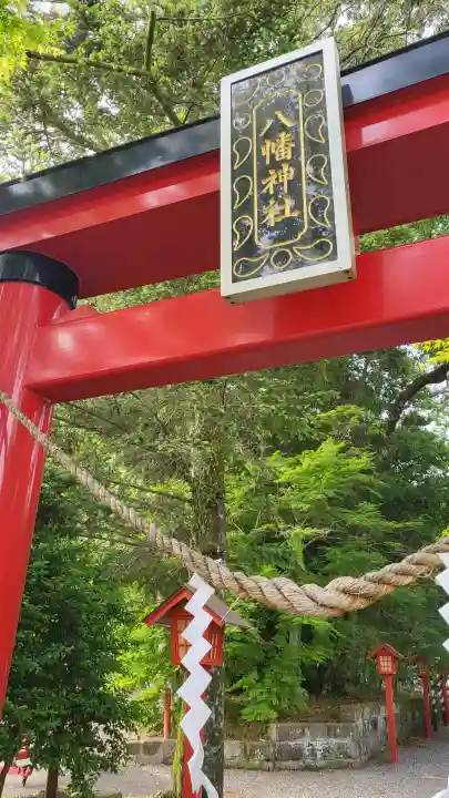 郡山八幡神社の{uncategorized: "未分類", other: "その他", undefined: "問題あり", building: "その他建物", grave: "お墓", sacred_gate: "鳥居", guardian: "狛犬", statue: "像", buddha: "仏像", history: "歴史", nature: "自然", garden: "庭園", animal: "動物", pagoda: "塔", temizu: "手水舎", mountain_gate: "山門・神門", sanctuary: "本殿・本堂", subordinate: "末社・摂社", art: "芸術", scenery: "景色", jizo: "地蔵", ema: "絵馬", goshuin: "御朱印", omikuji: "おみくじ", items: "授与品その他", amulet: "お守り", goshuincho: "御朱印帳", eats: "食事", festival: "お祭り", votive_dance: "神楽", shichigosan: "七五三参", wedding: "結婚式", experience: "体験その他", initially: "初詣", around: "周辺", anti_infection: "感染症対策"}