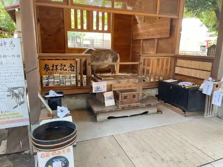 平塚八幡宮の御朱印