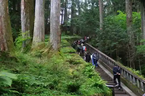 日光東照宮の景色