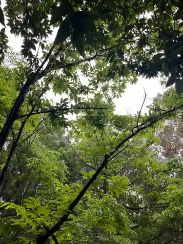 賀茂別雷神社(栃木県)