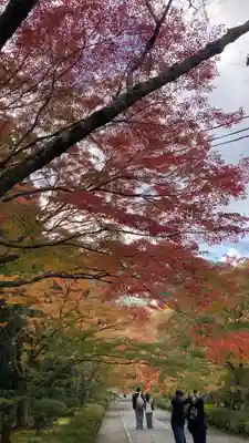 二尊院(京都府)