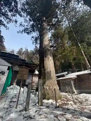 日枝神社(岐阜県)