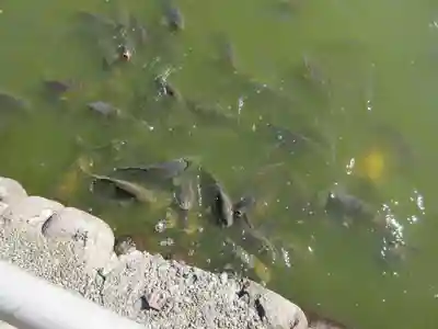 大瀬神社(静岡県)