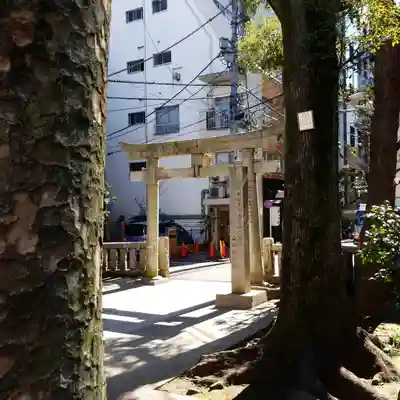 恵比寿神社の鳥居