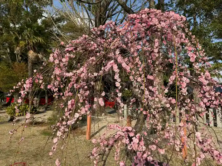 美奈宜神社(福岡県)