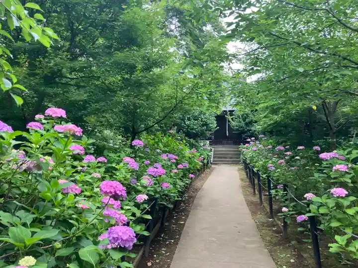 本土寺(千葉県)