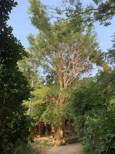 住吉神社の自然